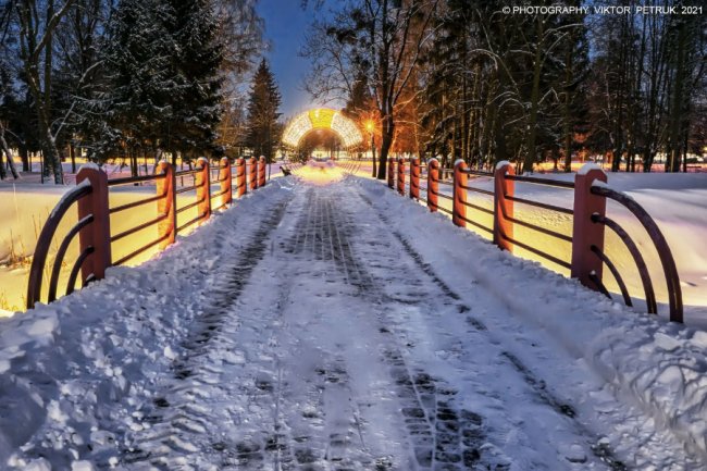 Зимова казка: опублікували неймовірні світлини вечірнього парку Луцька. ФОТО