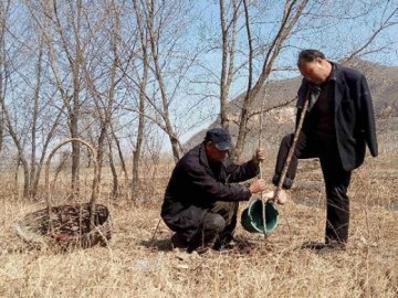 Два китайці посадили 10 тисяч дерев