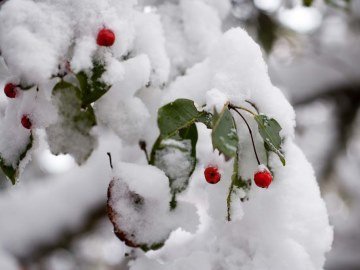 Прогноз погоди у Луцьку на неділю, 19 січня