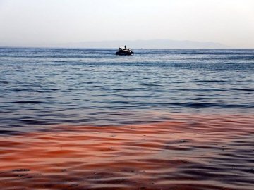 Диво природи: Мармурове море стало помаранчевим 