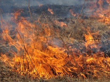 На Волині пожежники зафіксували майже сотню підпалів
