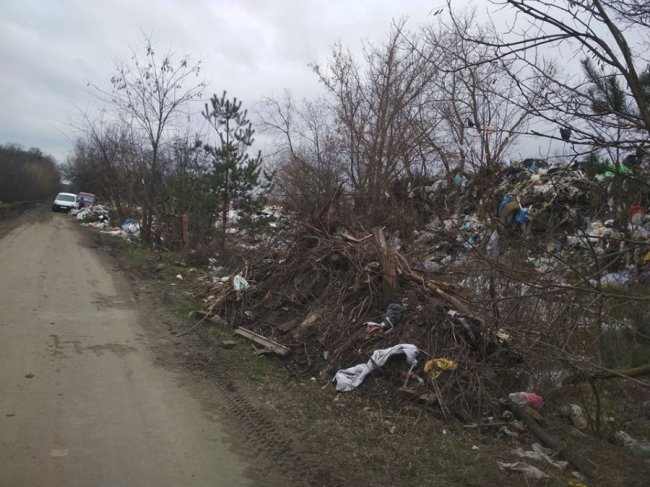 «Ліс» із відходів: у селі на Волині – гори сміття. ФОТО