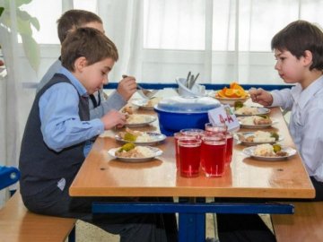 В школах Камінь-Каширського району можуть призупинити харчування учнів