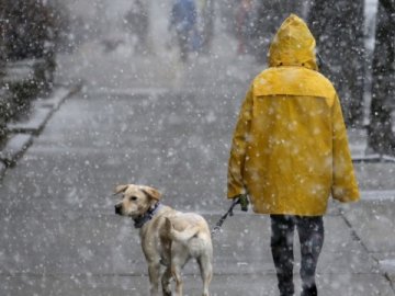 Дощ, сніг і трохи ожеледиці: синоптики розповіли, що чекає Україну на вихідні