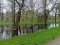Підтоплення в Центральному парку Луцька: що вирішили в міськраді