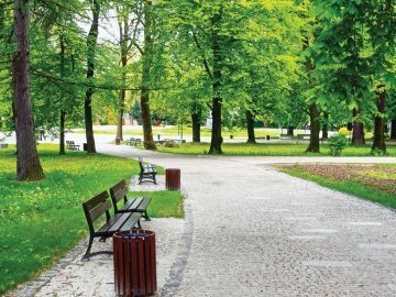 У Луцьку пропонують створити новий парк