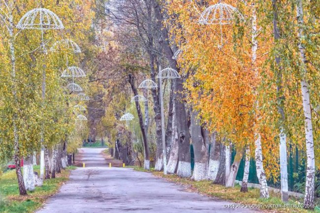 Пора яскравих кольорів минає: фотограф показав золоту осінь у Луцьку