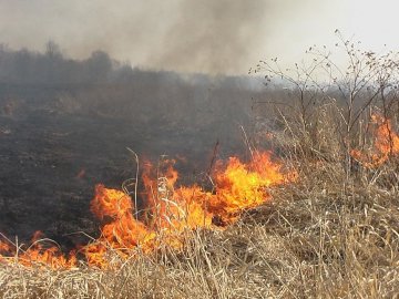 Волинські рятувальники гасили пожежу «на природі»