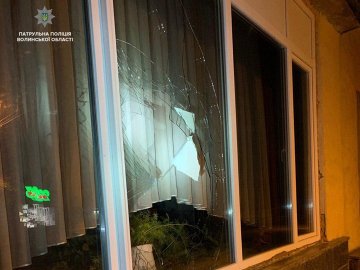 У Луцьку затримали неповнолітніх хуліганів, які побили вікно медколеджу