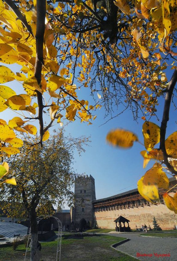 «Останнє золото Любарта»: фотограф показав красу Луцького замку