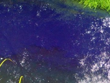 Опубліковано відео річки на Прикарпатті, яка посиніла. ВІДЕО