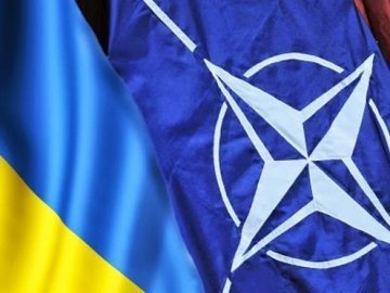 В Україні хочуть референдум про вступ в НАТО одночасно з виборами