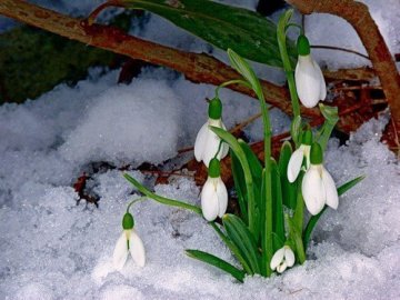 Впродовж перших тижнів березня на Волинь чекають «температурні гойдалки»