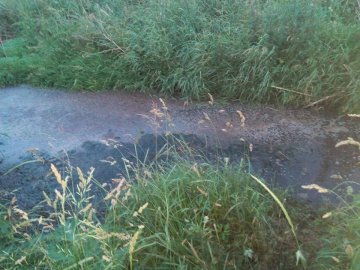 Екологічне лихо у Нововолинську: зливають нечистоти