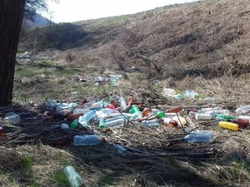 На прибирання «нічийного» сміття в Луцьку передбачають витратити чималу суму