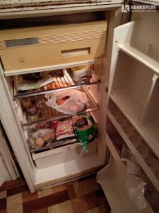Мамині котлети і домашні яйця: що луцькі студенти ховають усвоїх  холодильниках 