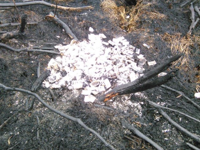 На Волині контрабандисти спалили 12 ящиків сигарет, які не змогли перевезти в Польщу