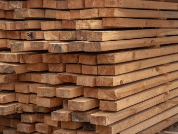 Аукціони з продажу деревини відбуватимуться в електронній формі, – Держлісагентство