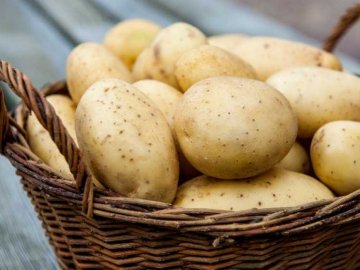 В Україну ввезли майже 93 тисячі тонни картоплі