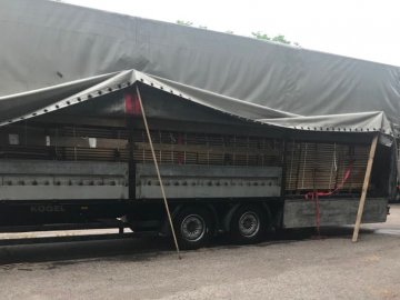 На «Ягодині» у волинського підприємця вилучили вантажівку з деревиною