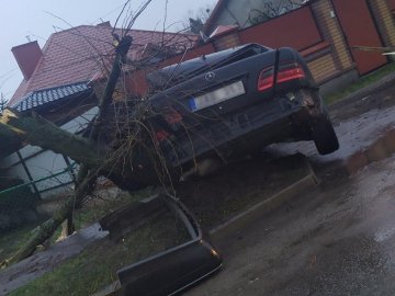 У Ковелі Mercedes влетів у дерево й «завис» на тротуарі