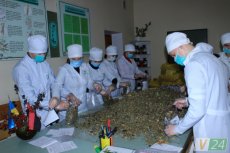 Луцькі студенти готують лікувальні чаї та мазі для військових. ФОТО