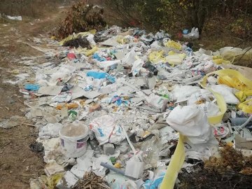 Замість грибів – купи «свіжого» сміття: у селі під Луцьком знайшли стихійне звалище. ФОТО