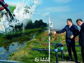 Підприємству, яке вирощує лохину, дозволили брати воду з Прип'яті на полив ягід