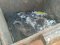 Сморід неймовірний: у Луцьку в контейнери викинули шкури тварин. ФОТО