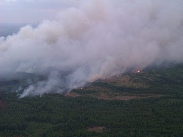 У Чорнобильській зоні - масштабна пожежа. ФОТО