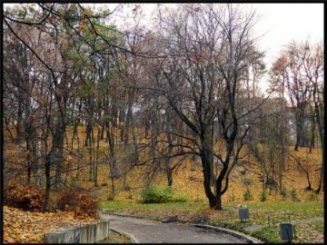 Прогноз погоди в Луцьку та області на 27 листопада