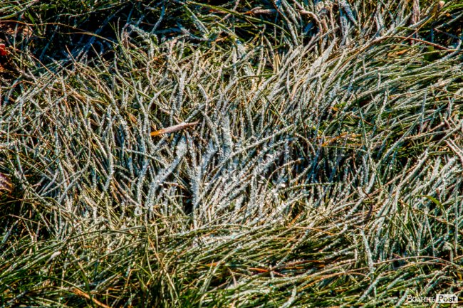 Луцьк в останній осінній день. ФОТОРЕПОРТАЖ