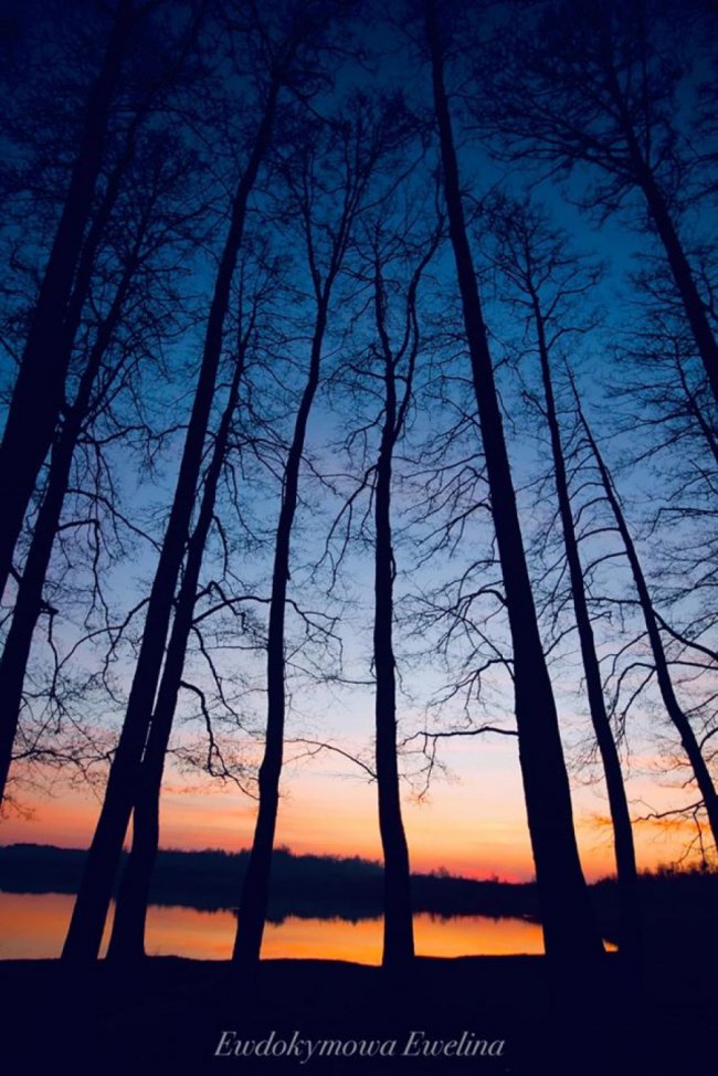 Захід сонця на Шацьких озерах: волинська фотографка опублікувала яскраві світлини