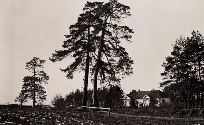 Панорами, вулиці, пасіка: яким було волинське село 100 років тому. РЕТРОФОТО