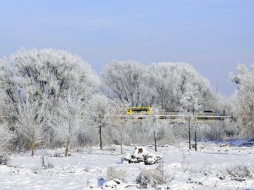 Розповіли, якою буде зима в Україні