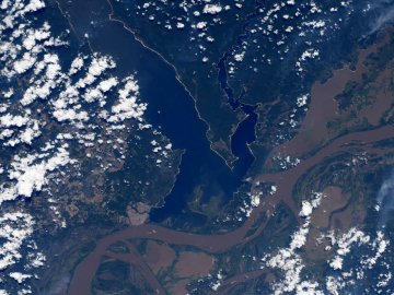 Астронавтка опублікувала знімок річки Амазонки з космосу