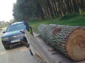 На Волині лісівники знайшли крадену деревину. ФОТО
