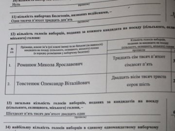 Луцька міська ТВК офіційно оголосила результати виборів
