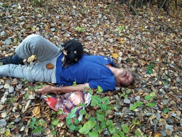 На Закарпатті в лісі собака врятував життя господареві