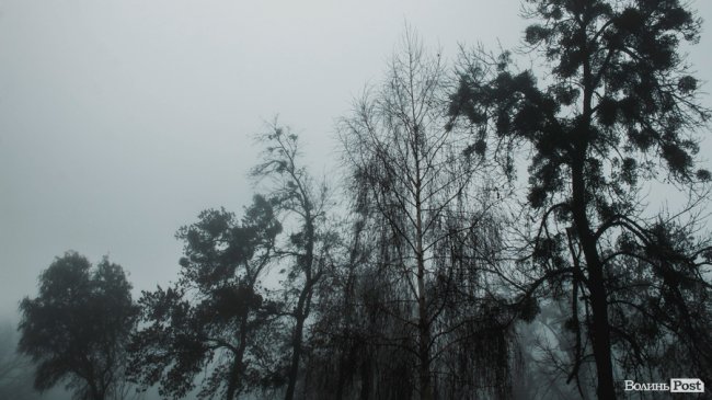 Туманний Луцьк: неймовірні фото 