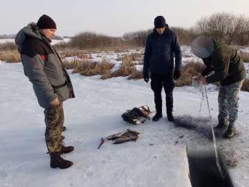 У Луцькому районі троє рибалок-браконьєрів ловили щук сіткою. ФОТО