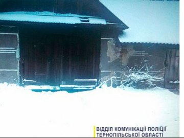 На Тернопільщині чоловік вкрав трактор, щоб почистити дорогу від снігу