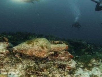 У Греції відкрили перший підводний музей*