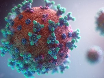 Повідомили кількість інфікованих коронавірусом, виявлених в Україні за останню добу
