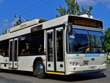 «Рогатий» кредит: Луцьк позичить 5 мільйонів євро на тролейбуси