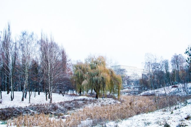 Парк 900-річчя Луцька під першим снігом. ФОТО