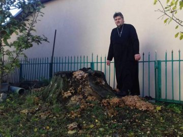 Священик назбирав біля церкви на Волині декілька відер грибів. ФОТО