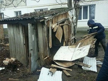 Демонтаж сараїв у Луцьку: вивезли вантажівку гнилого дерева. ФОТО