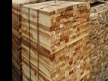 Київська фірма намагалася контрабандою вивезти через Луцьк рідкісну деревину
