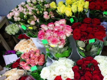 «Квітковий бум» на перший дзвоник: ціни в Луцьку. ФОТО